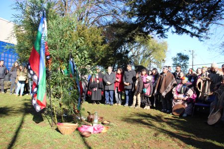 Con sobre doscientas personas presentes la UNAP Sede Victoria celebró el We Tripantu o Año Nuevo Mapuche