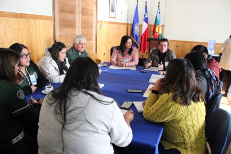 UNAP Sede Victoria y CONADI generan importantes encuentros con los y las Educadoras de Lengua y Cultura Indígena (ELCI)