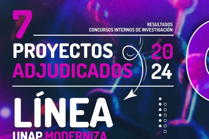 Resultados concursos internos de investigación 2024, línea UNAP Moderniza