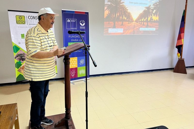 Expertos destacan el Cultivo de la Palma Datilera en charla organizada por la UNAP Arica: “Este tipo de iniciativas nos permiten acercar a nuestros estudiantes a los avances científicos y tecnológicos”